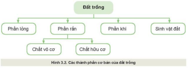 Quan sát Hình 3.2 và nêu các thành phần cơ bản của đất trồng, vai trò của từng thành phần