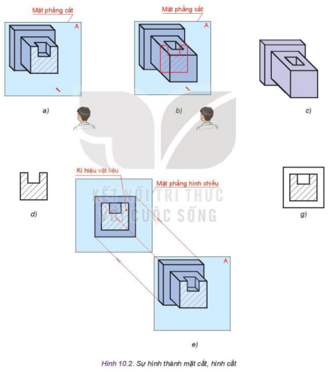 Quan sát Hình 10.2 và sắp xếp trình trự các hình a, b, c, d, e, g theo đúng trình tự hình thành mặt cắt hình cắt