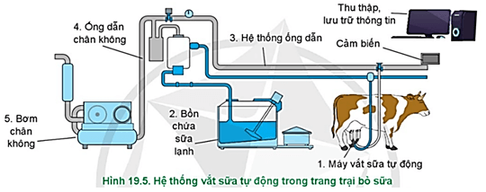  Hãy mô tả sự vận hành của hệ thống vắt sữa tự động ở Hình 19.5