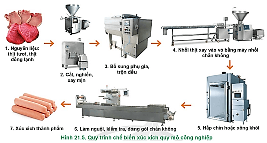  Hãy mô tả tóm tắt các bước của quy trình chế biến xúc xích ở Hình21.5