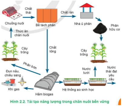  Hãy kể tên loại năng lượng được tái tạo trong Hình 2.2 và cho biết việc tái tạo năng lượng 