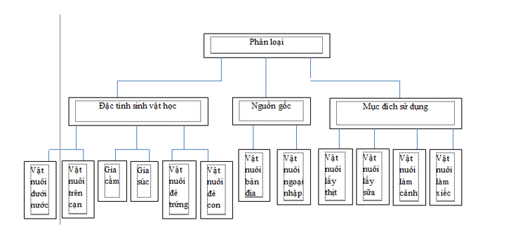 Hãy thể hiện việc phân loại vật nuôi 