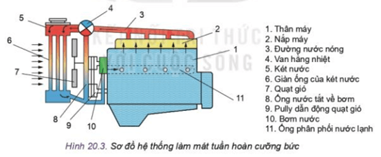 Quan sát Hình 20.3 và thực hiện các nhiệm vụ Gọi tên, xác định vị trí các chi tiết