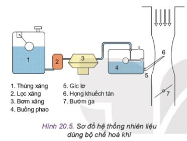 Quan sát Hình 20.5 và cho biết Đặc điểm của họng khuếch tán