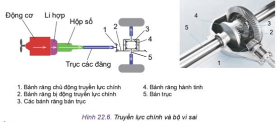 Hãy đọc mục 3 và cho biết chức năng của truyền lực chính và bộ vi sai