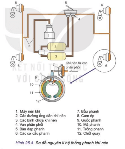 Hãy quan sát sơ đồ Hình 25.4 và cho biết Má phanh ép vào trống phanh dưới tác dụng của lực nào?