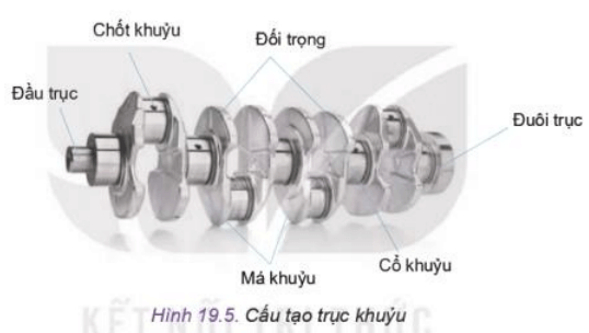 Quan sát và cho biết trục khuỷu trên Hình 19.5 dùng cho động cơ có bao nhiêu xi lanh