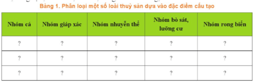 Dựa theo đặc điểm cấu tạo hãy sắp xếp các loài sau theo mẫu Bảng 1