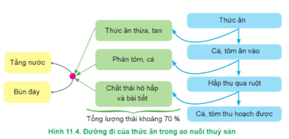 Dựa vào Hình 11.4 hãy phân tích đường đi của thức ăn trong ao nuôi thuỷ sản