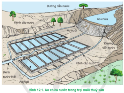 Lý thuyết Công nghệ 12 Cánh diều Bài 12: Quản lí môi trường nuôi thuỷ sản | Lâm nghiệp Thủy sản 12