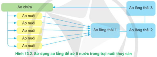 Lý thuyết Công nghệ 12 Cánh diều 13: Xử lí môi trường nuôi thuỷ sản | Lâm nghiệp Thủy sản 12