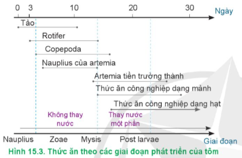 Lý thuyết Công nghệ 12 Cánh diều Bài 15: Đặc điểm sinh sản và kĩ thuật ương cá, tôm giống