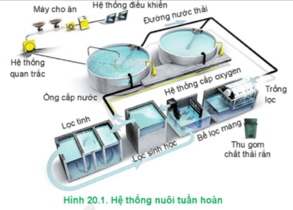 Lý thuyết Công nghệ 12 Cánh diều Bài 20: Ứng dụng công nghệ cao trong nuôi trồng thuỷ sản | Lâm nghiệp Thủy sản 12