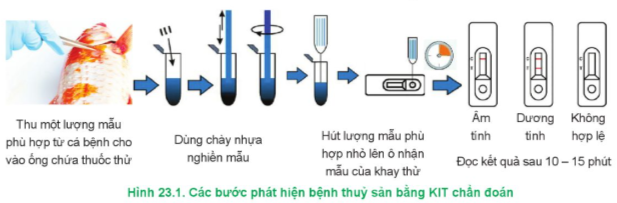 Lý thuyết Công nghệ 12 Cánh diều Bài 23: Ứng dụng công nghệ sinh học trong phòng, trị bệnh thuỷ sản