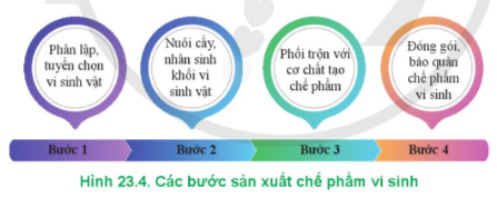 Lý thuyết Công nghệ 12 Cánh diều Bài 23: Ứng dụng công nghệ sinh học trong phòng, trị bệnh thuỷ sản