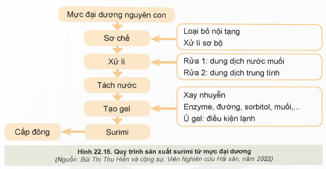 Quan sát Hình 22.15 và mô tả các bước sản xuất surimi từ mực đại dương