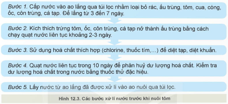 Quan sát Hình 12.3 và mô tả các bước xử lí nước trước khi nuôi tôm