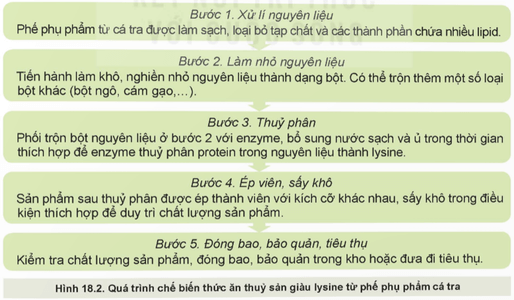 Quan sát Hình 18.2 và nêu vai trò của công nghệ sinh học trong chế biến thức ăn