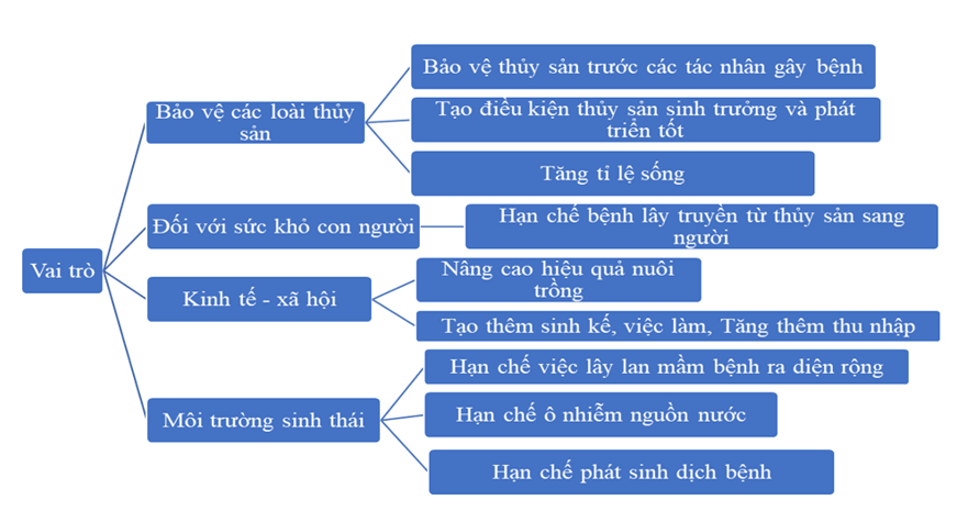 Trình bày vai trò của phòng, trị bệnh thủy sản dưới dạng sơ đồ tư duy