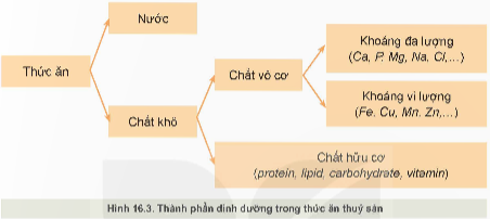 Lý thuyết Công nghệ 12 Kết nối tri thức Bài 16: Thức ăn thuỷ sản | Lâm nghiệp Thủy sản 12