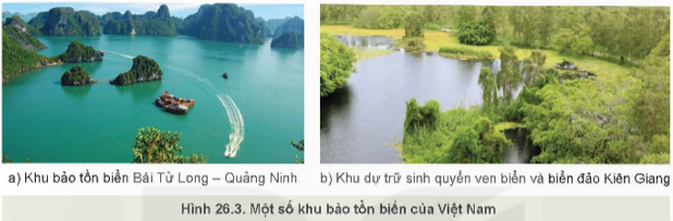 Lý thuyết Công nghệ 12 Kết nối tri thức Bài 26: Bảo vệ nguồn lợi thuỷ sản | Lâm nghiệp Thủy sản 12