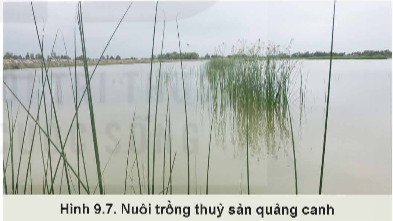 Lý thuyết Công nghệ 12 Kết nối tri thức Bài 9: Các nhóm thuỷ sản và một số phương thức nuôi phổ biến | Lâm nghiệp Thủy sản 12