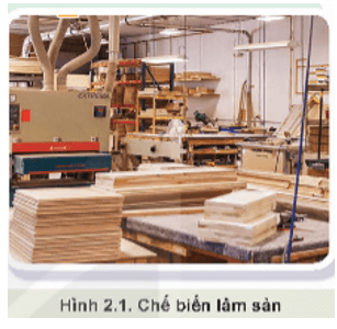 Ngoài chế biến lâm sản Hình 2.1, lâm nghiệp còn những hoạt động cơ bản nào khác?