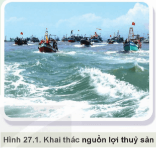 Khai thác nguồn lợi thủy sản (Hình 27.1) có ý nghĩa gì?