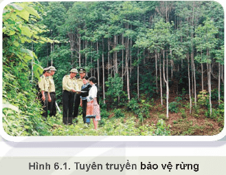 Thực trạng việc bảo vệ và khai thác tài nguyên rừng ở nước ta?