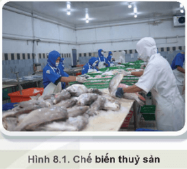 Ngoài cung cấp nguyên liệu cho chế biến (Hình 8.1), thủy sản còn có những vai trò nào