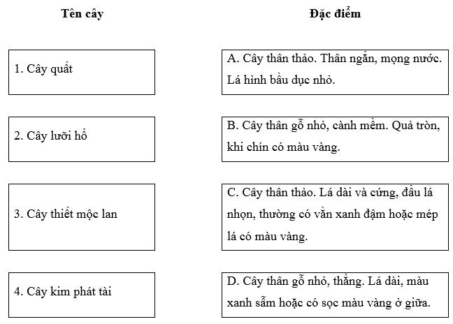 Công nghệ lớp 4 Cánh diều Bài 3: Một số loại cây cảnh phổ biến