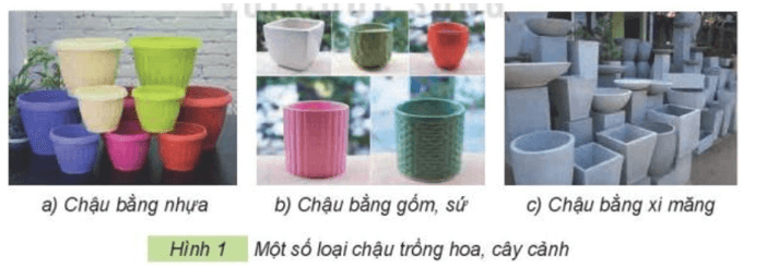 Công nghệ lớp 4 Kết nối tri thức Bài 3: Vật liệu và dụng cụ trồng hoa, cây cảnh trong chậu