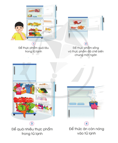 Công nghệ lớp 5 Bài 7: Sử dụng tủ lạnh - Cánh diều