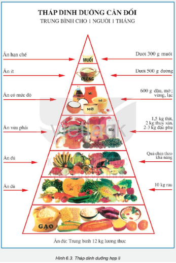 Tham khảo Bảng 6.2 và Hình 6.3, xây dựng thực đơn bữa ăn để đáp ứng nhu cầu dinh dưỡng cho cả