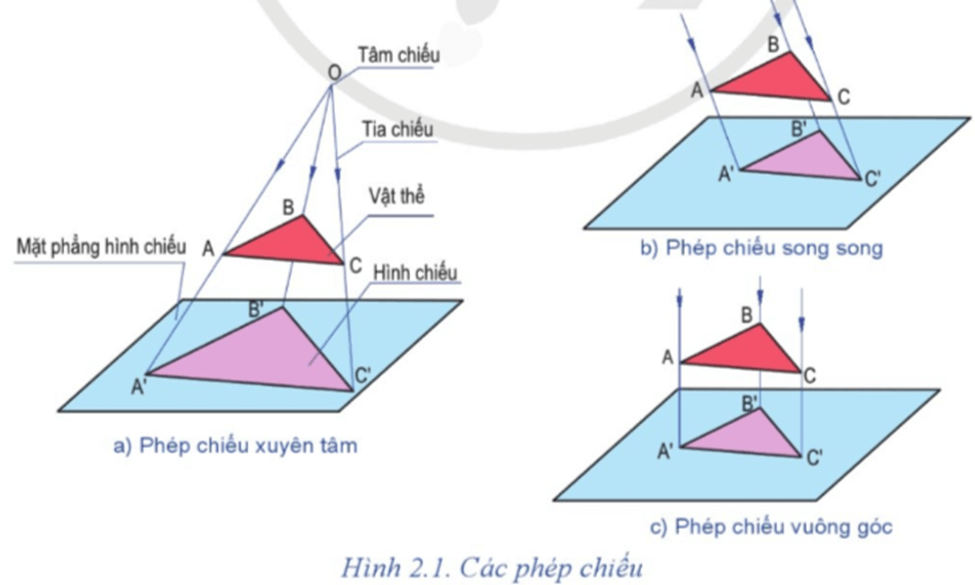 Quan sát Hình 2.1 và cho biết tia chiếu ở các phép chiếu khác nhau như thế nào