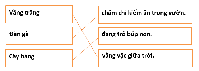 [Năm 2023] Đề thi Giữa kì 2 Tiếng Việt lớp 1 có đáp án (5 đề) | Kết nối tri thức