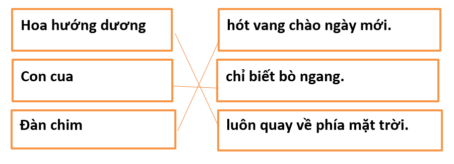 [Năm 2023] Đề thi Học kì 2 Tiếng Việt lớp 1 có đáp án | Kết nối tri thức (5 đề)