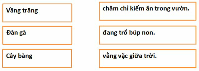 Đề thi Giữa kì 2 Tiếng Việt lớp 1 năm 2023 có ma trận (10 đề) | Kết nối tri thức