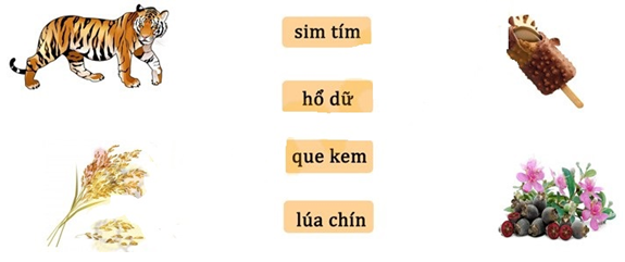 Đề thi Tiếng Việt lớp 1 Học kì 1 năm 2023 Thông tư 27 có ma trận có đáp án (15 đề)