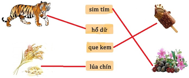 Đề thi Tiếng Việt lớp 1 Học kì 1 năm 2023 Thông tư 27 có ma trận có đáp án (15 đề)