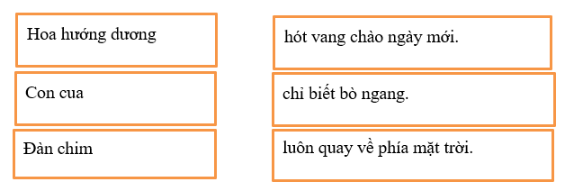 Đề thi Học kì 2 Tiếng Việt lớp 1 năm 2023 có ma trận (10 đề) | Kết nối tri thức