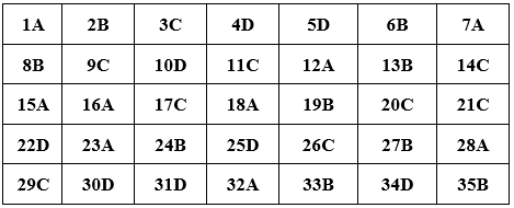 Đề thi Giữa kì 2 Tiếng Anh lớp 10 mới có đáp án (Đề 1)