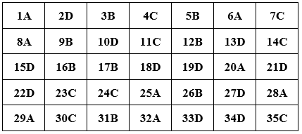 Đề thi Giữa kì 2 Tiếng Anh lớp 10 mới có đáp án (Đề 4)