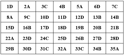 Đề thi Giữa kì 2 Tiếng Anh lớp 10 mới có đáp án (Đề 5)