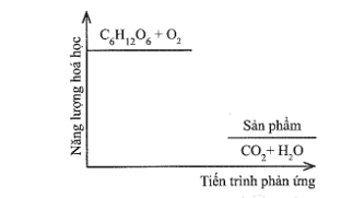Đề thi Giữa kì 2 Hóa học 10 Cánh diều có đáp án (4 đề)