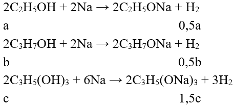 Đề thi Giữa kì 2 Hóa học lớp 11 có đáp án (Đề 4)