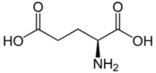 Đề thi Giữa kì 1 Hóa học 12 Kết nối tri thức có đáp án (3 đề + ma trận)