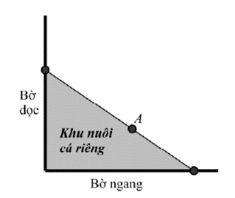 10 Đề thi Giữa kì 1 Toán 12 Kết nối tri thức (có đáp án + ma trận)