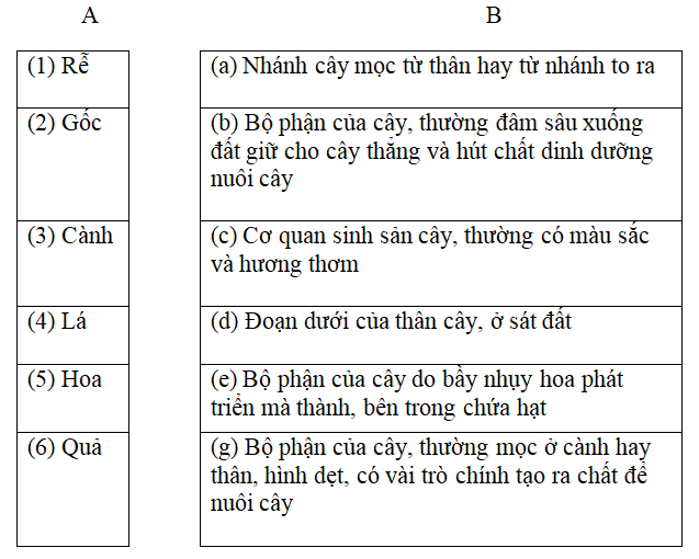 Bài tập cuối tuần Tiếng Việt lớp 2 Tuần 29 Kết nối tri thức có đáp án | Đề kiểm tra cuối tuần Tiếng Việt lớp 2