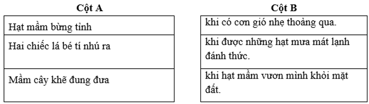 Đề thi Tiếng Việt lớp 3 Học kì 2 có đáp án (Đề 1)